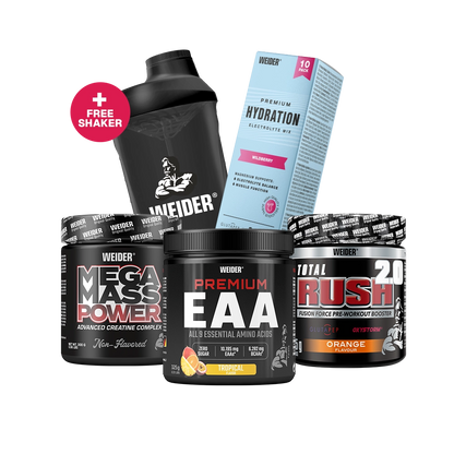 Gottis Favorites Bundle