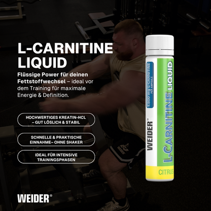 L-Carnitina liquida