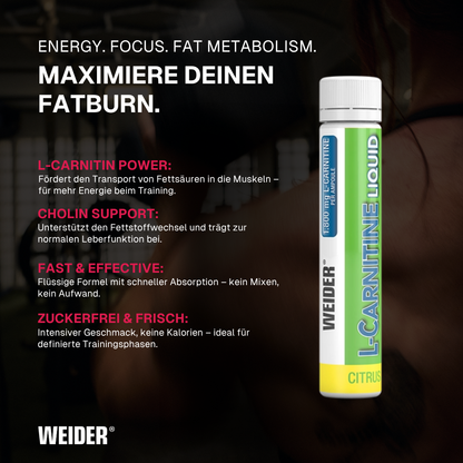 L-Carnitina liquida